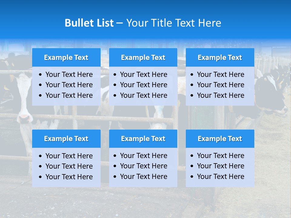 Cattle Rustic Cow PowerPoint Template
