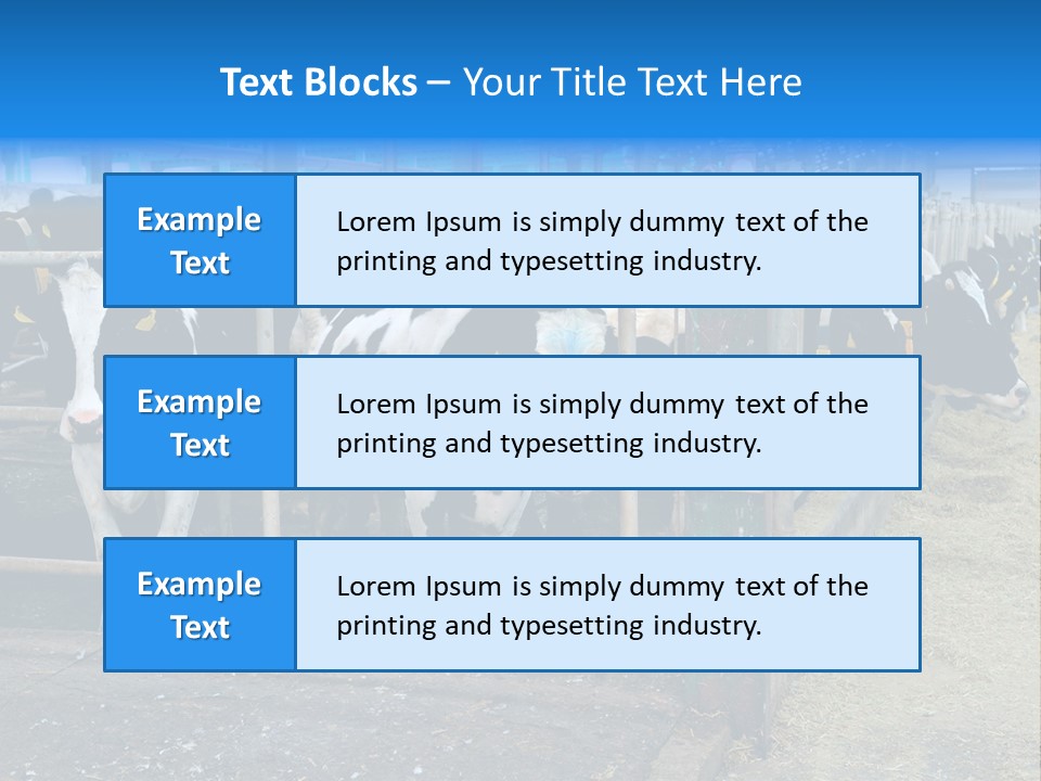 Cattle Rustic Cow PowerPoint Template