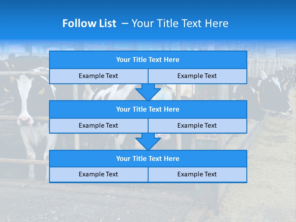 Cattle Rustic Cow PowerPoint Template