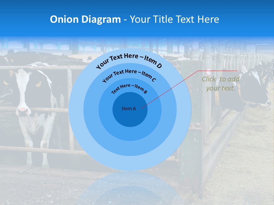 Cattle Rustic Cow PowerPoint Template