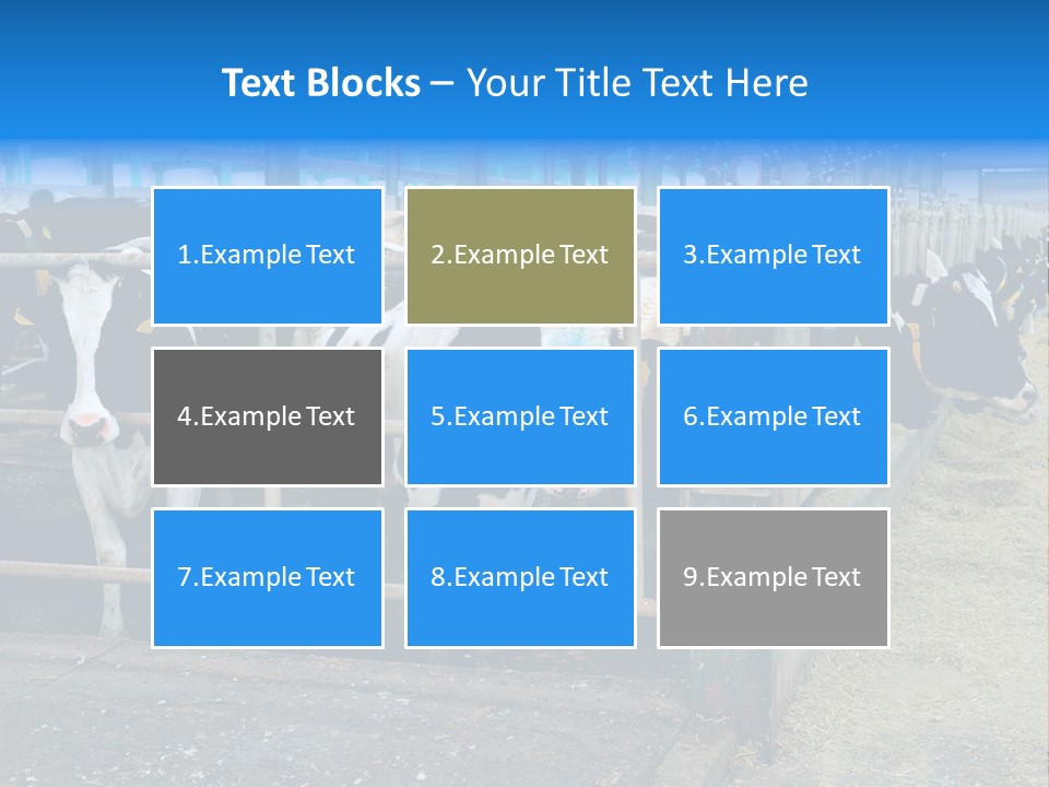 Cattle Rustic Cow PowerPoint Template