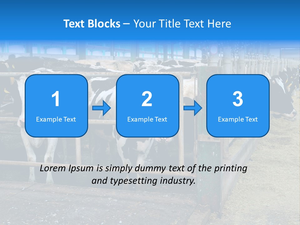 Cattle Rustic Cow PowerPoint Template