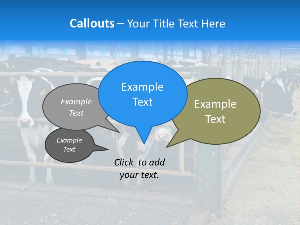 Cattle Rustic Cow PowerPoint Template