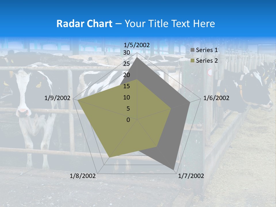 Cattle Rustic Cow PowerPoint Template