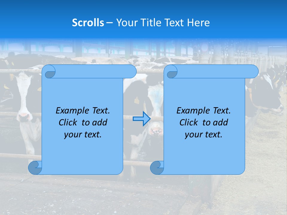 Cattle Rustic Cow PowerPoint Template