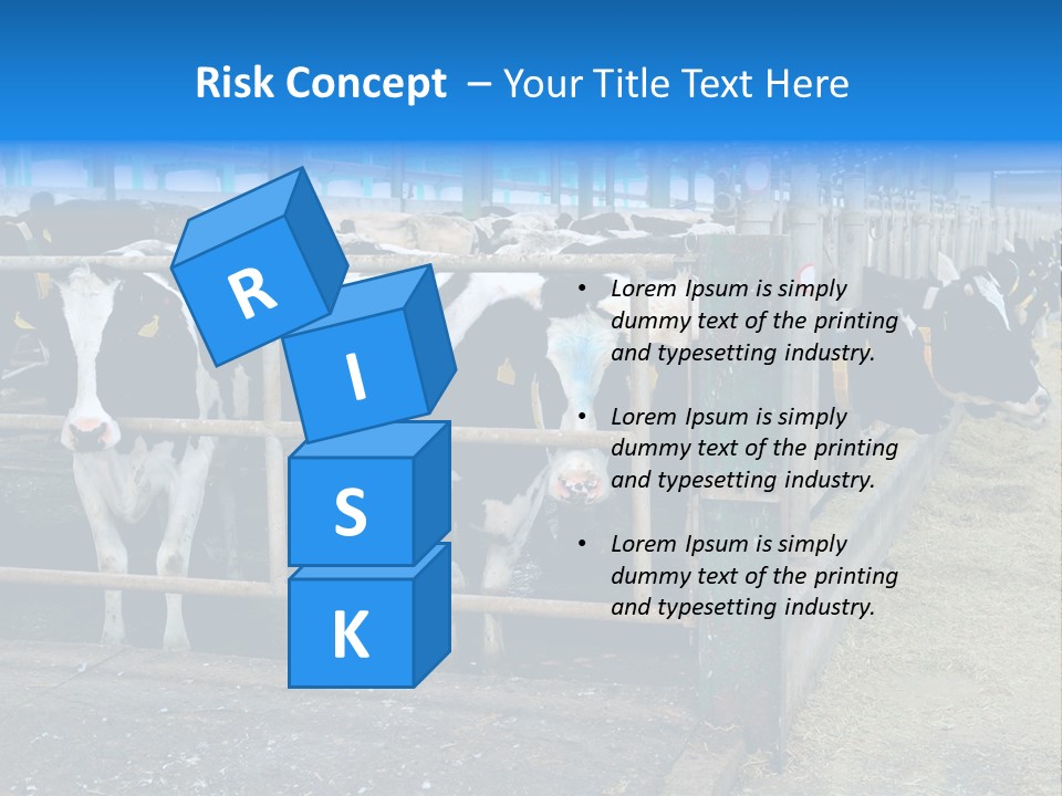 Cattle Rustic Cow PowerPoint Template
