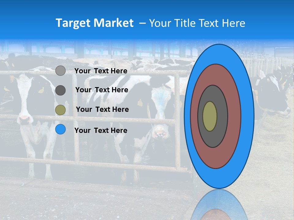 Cattle Rustic Cow PowerPoint Template
