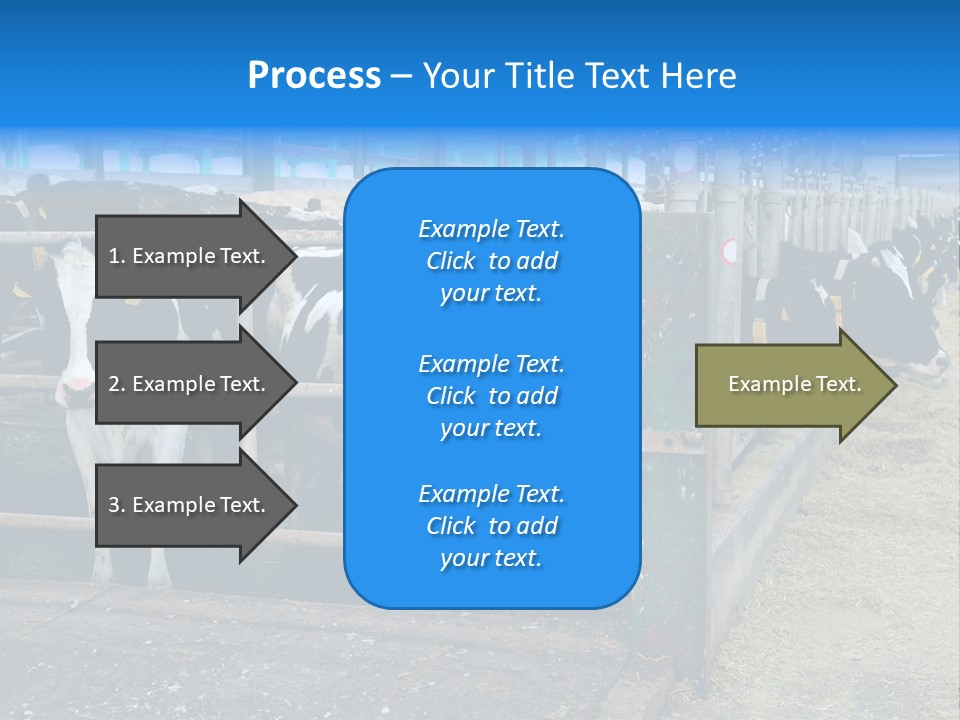 Cattle Rustic Cow PowerPoint Template