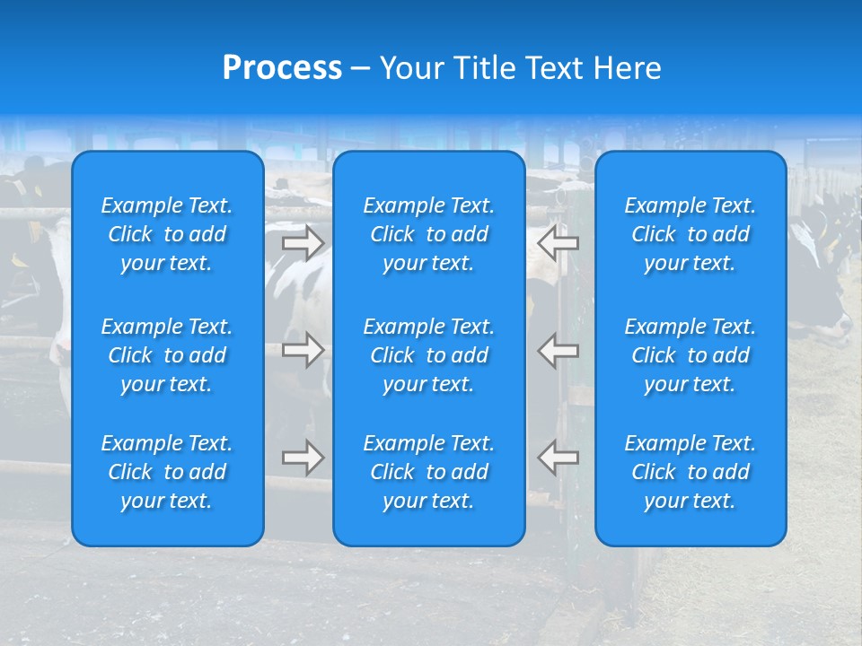 Cattle Rustic Cow PowerPoint Template