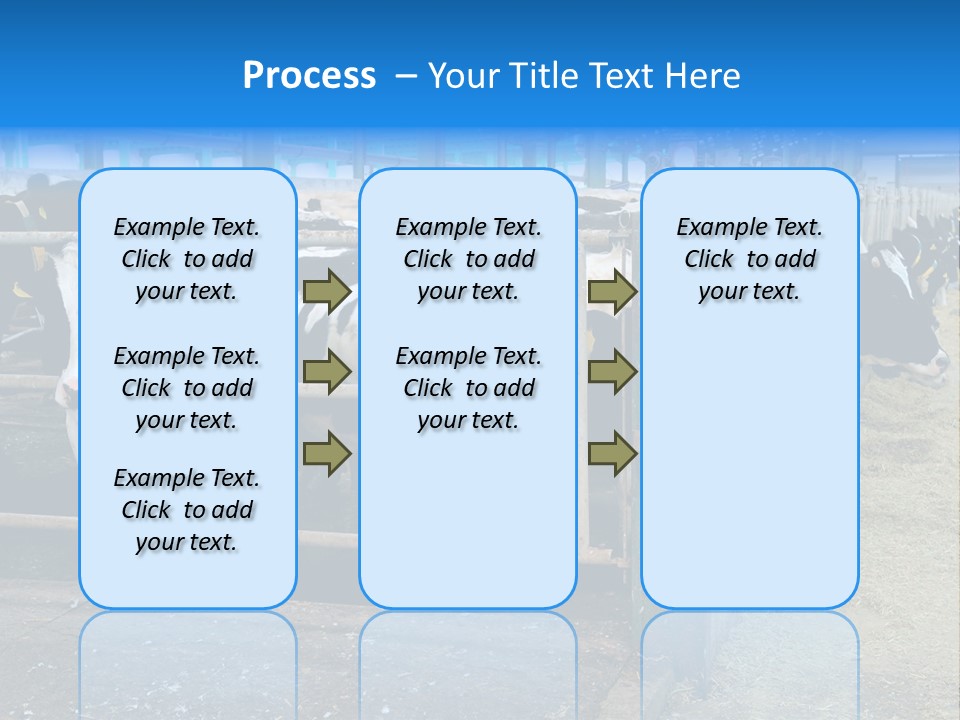 Cattle Rustic Cow PowerPoint Template