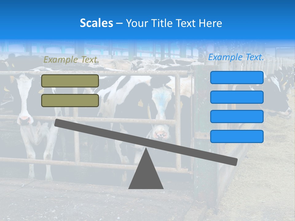 Cattle Rustic Cow PowerPoint Template