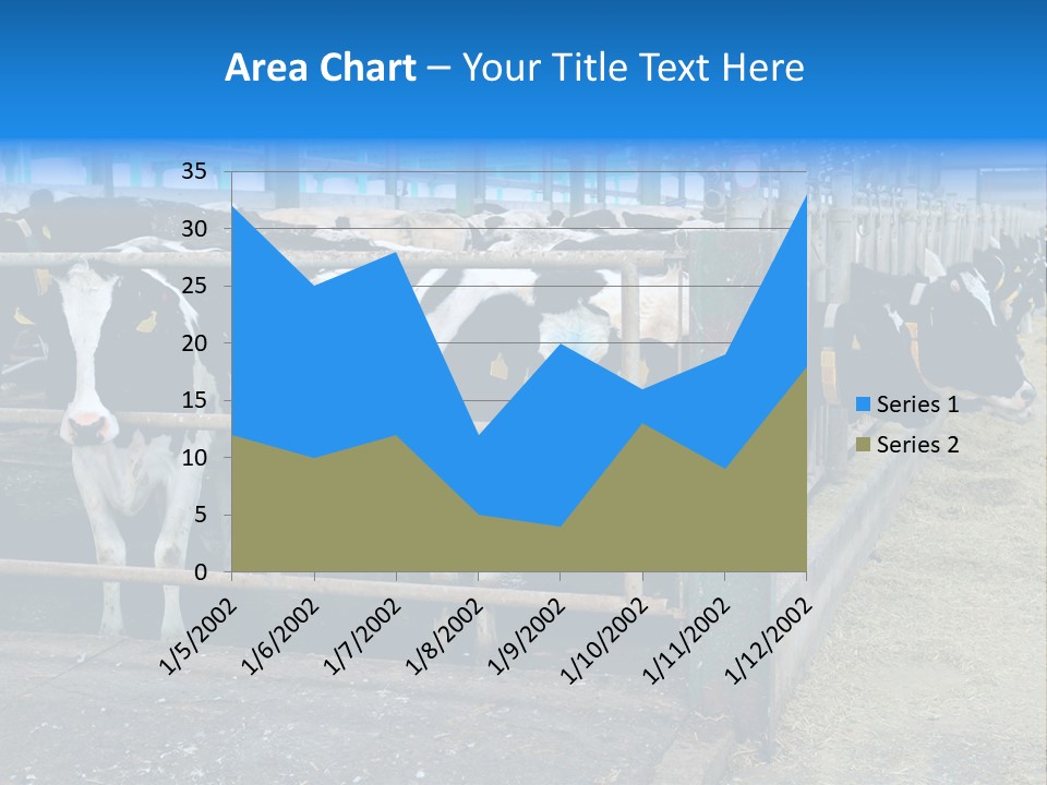 Cattle Rustic Cow PowerPoint Template