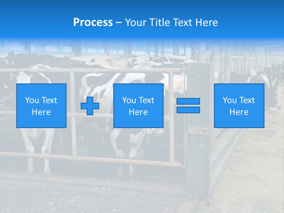 Cattle Rustic Cow PowerPoint Template