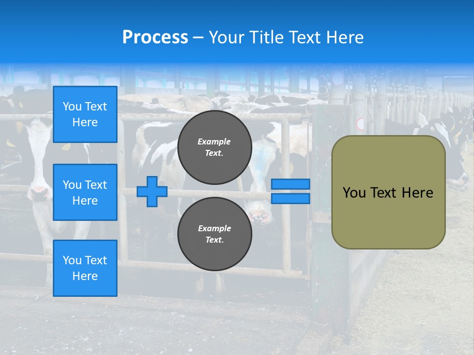 Cattle Rustic Cow PowerPoint Template