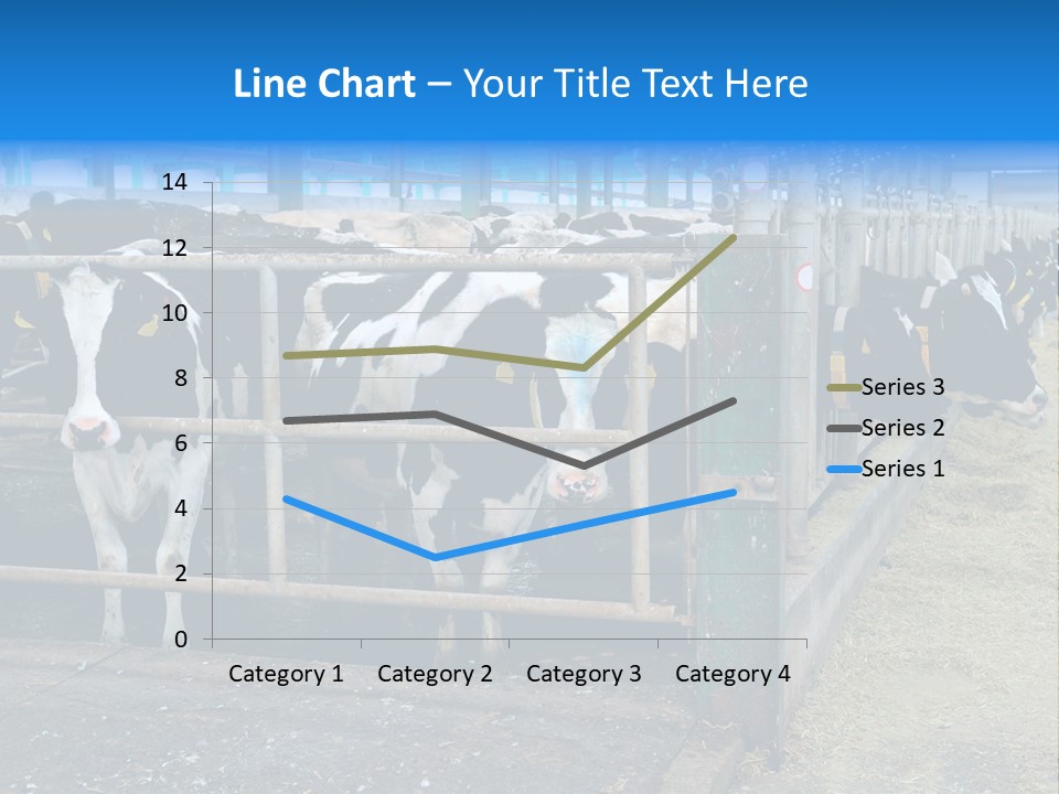 Cattle Rustic Cow PowerPoint Template