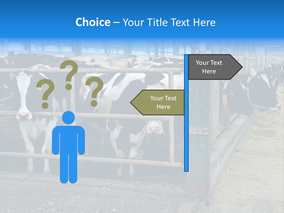 Cattle Rustic Cow PowerPoint Template