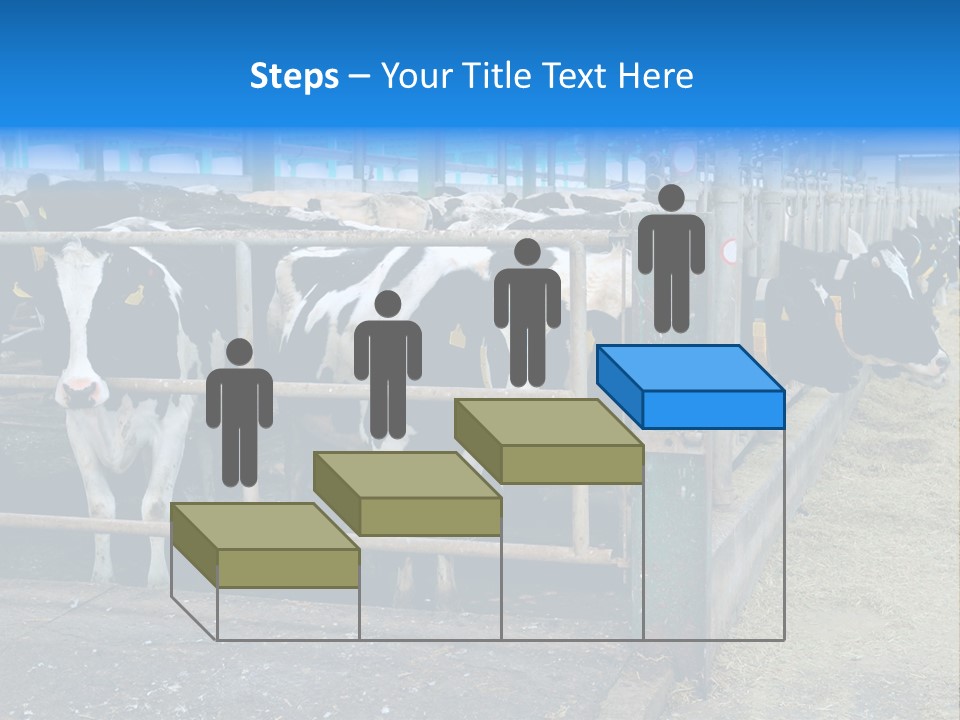 Cattle Rustic Cow PowerPoint Template