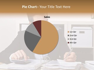 Audit Financing Profession PowerPoint Template