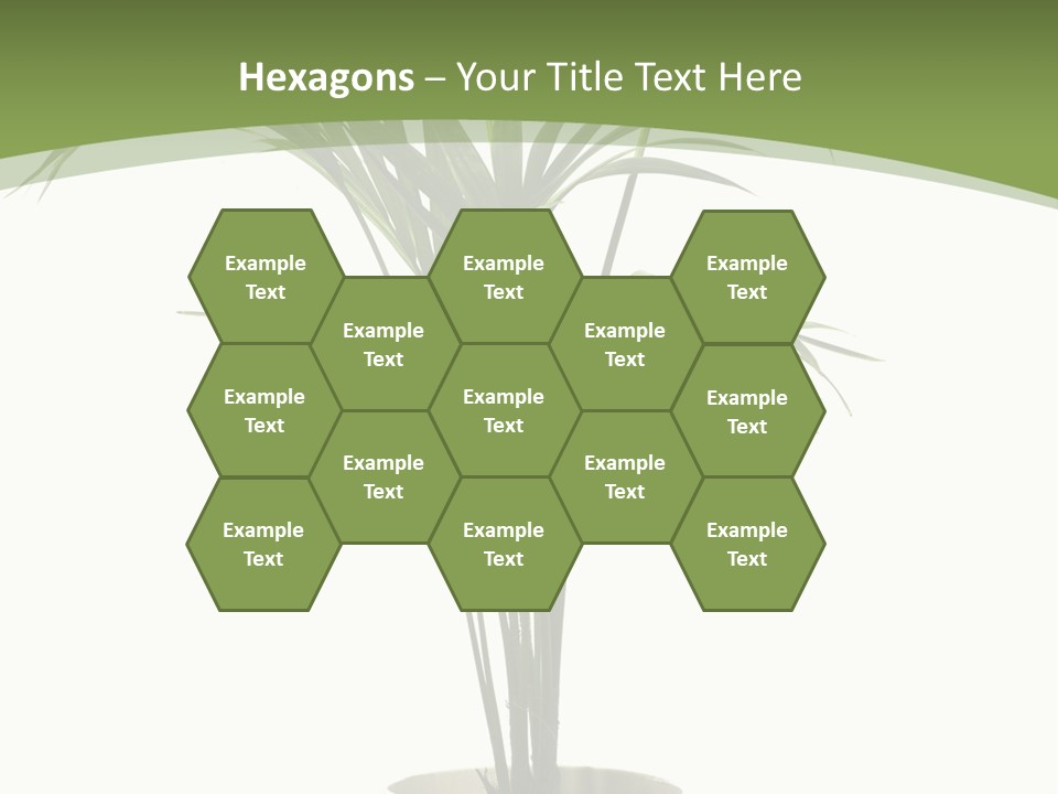 Branch Stem Garden PowerPoint Template