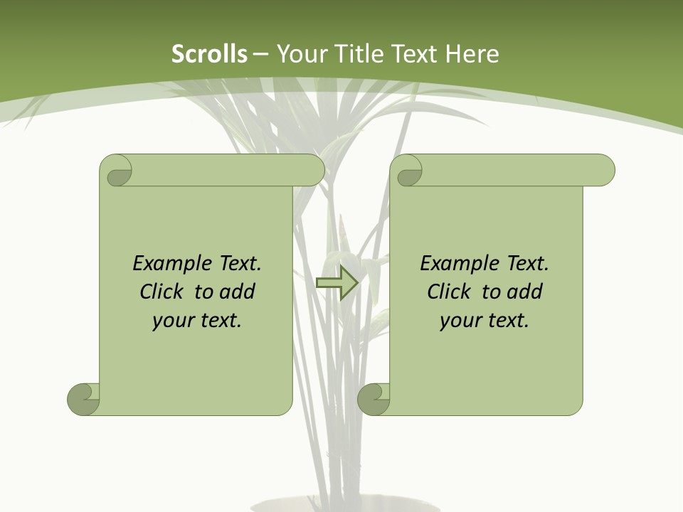 Branch Stem Garden PowerPoint Template