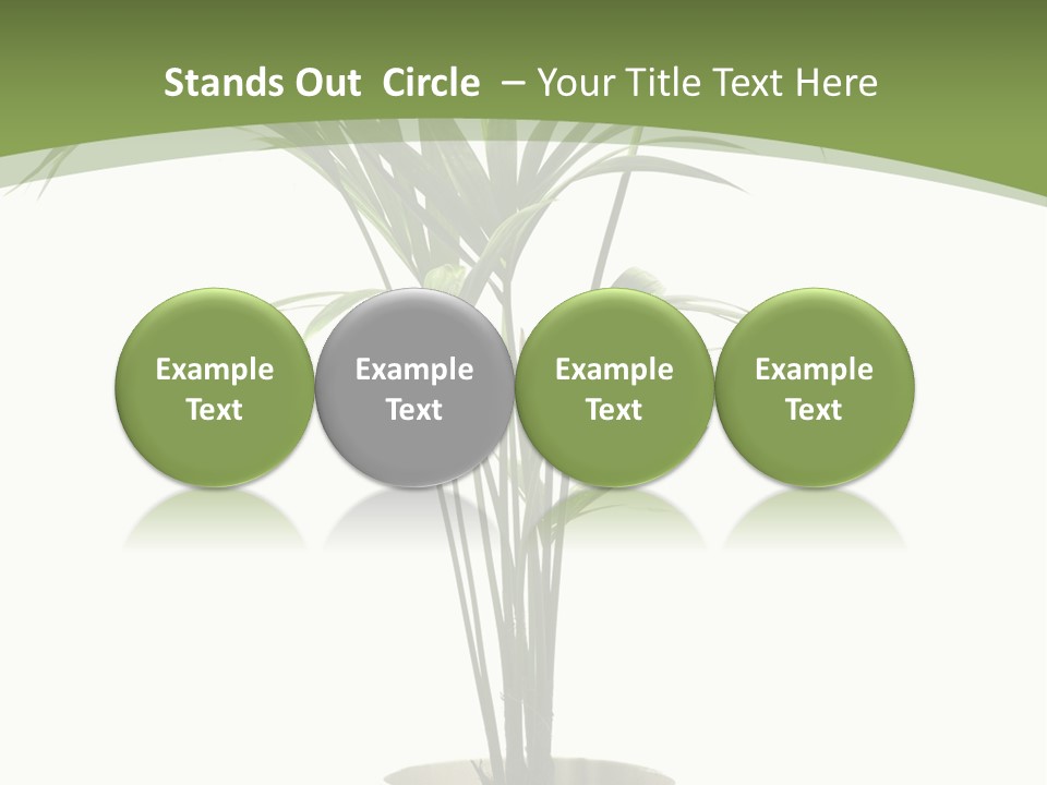 Branch Stem Garden PowerPoint Template