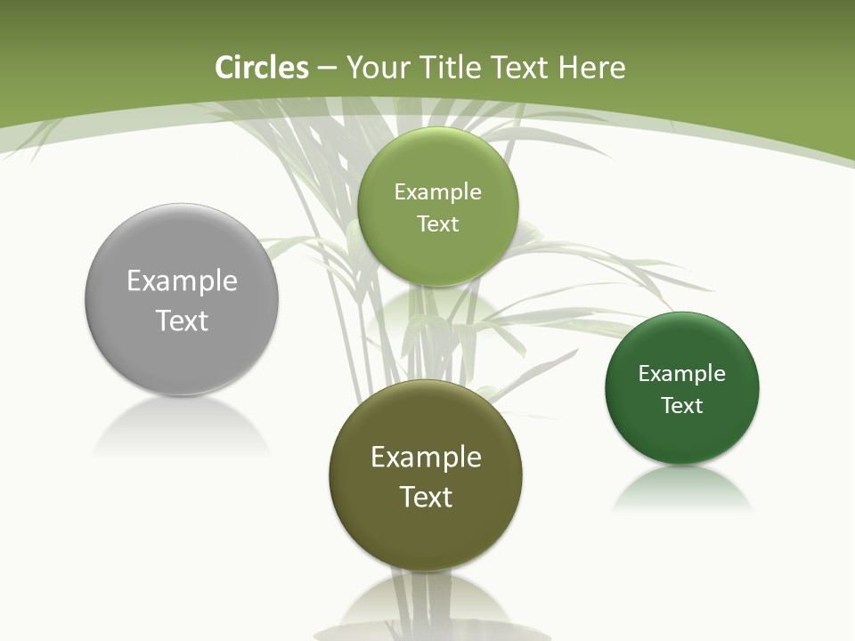 Branch Stem Garden PowerPoint Template