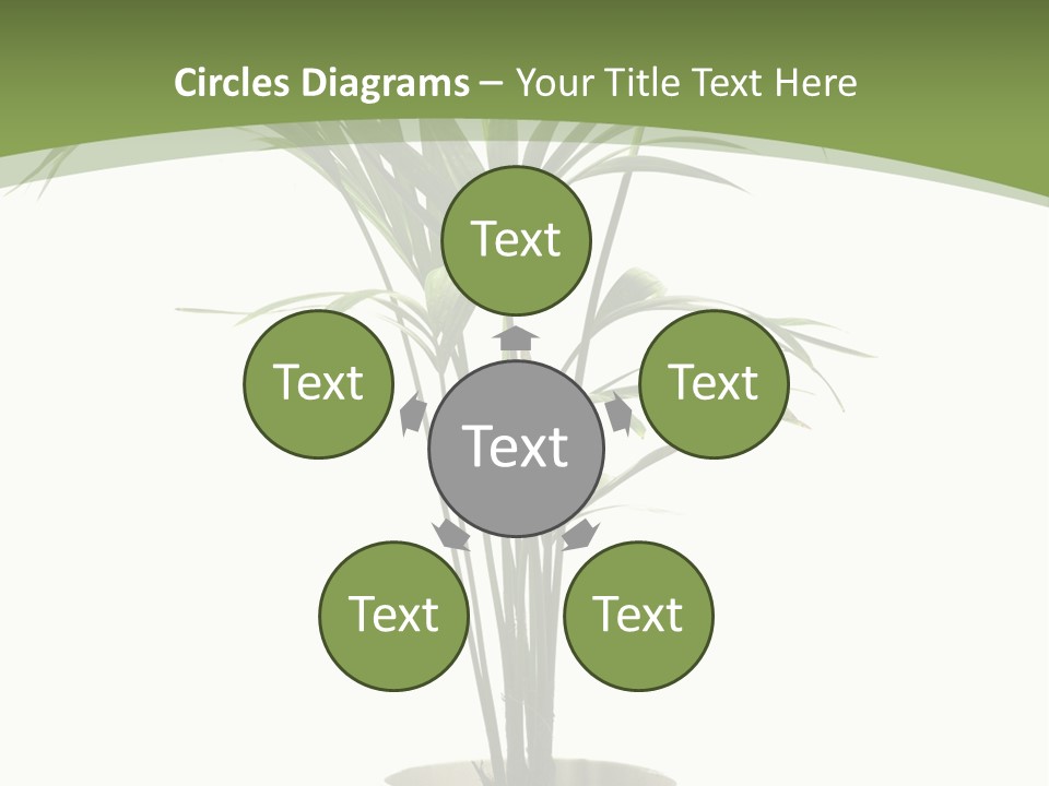 Branch Stem Garden PowerPoint Template