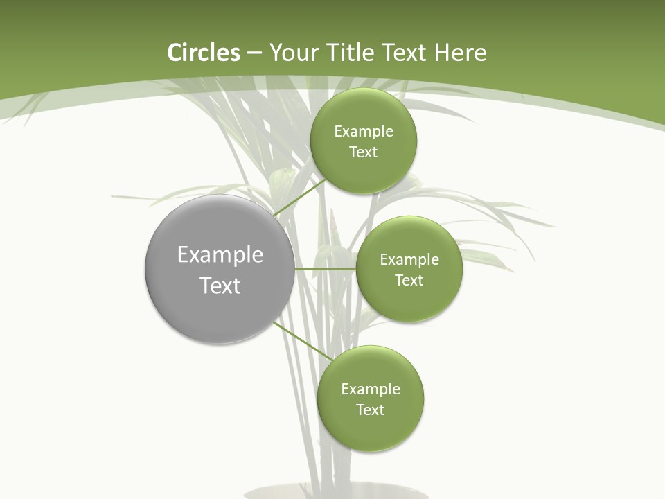 Branch Stem Garden PowerPoint Template