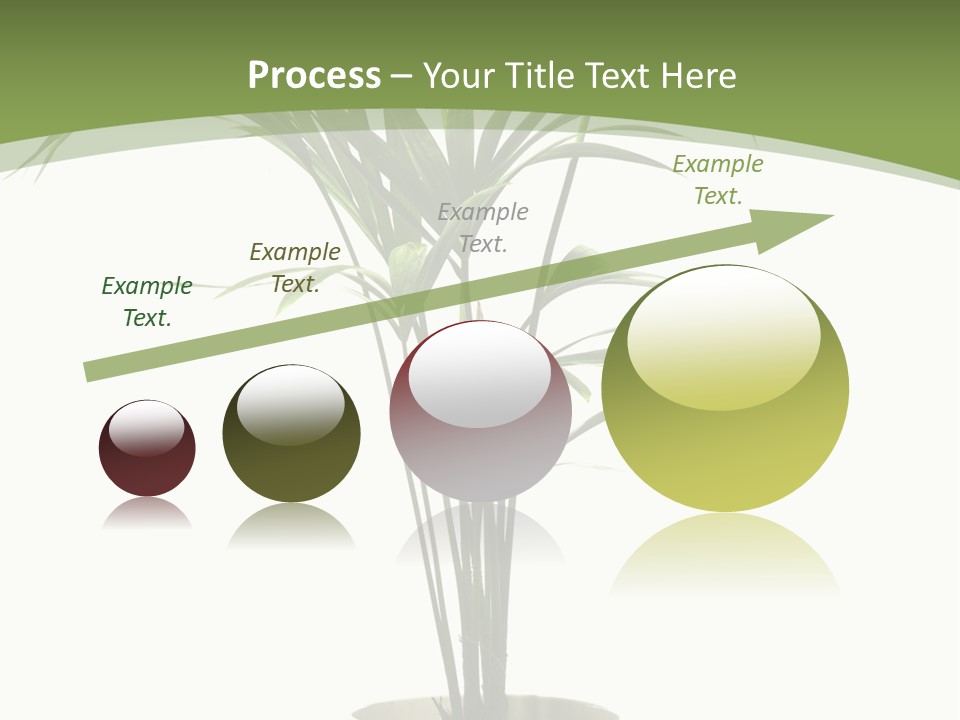 Branch Stem Garden PowerPoint Template