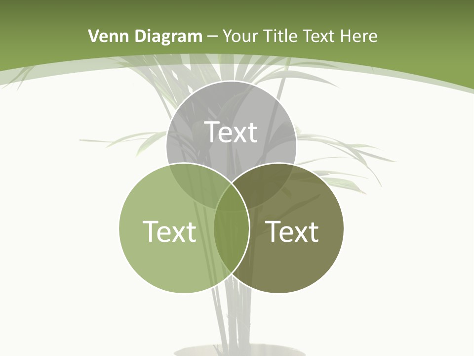 Branch Stem Garden PowerPoint Template