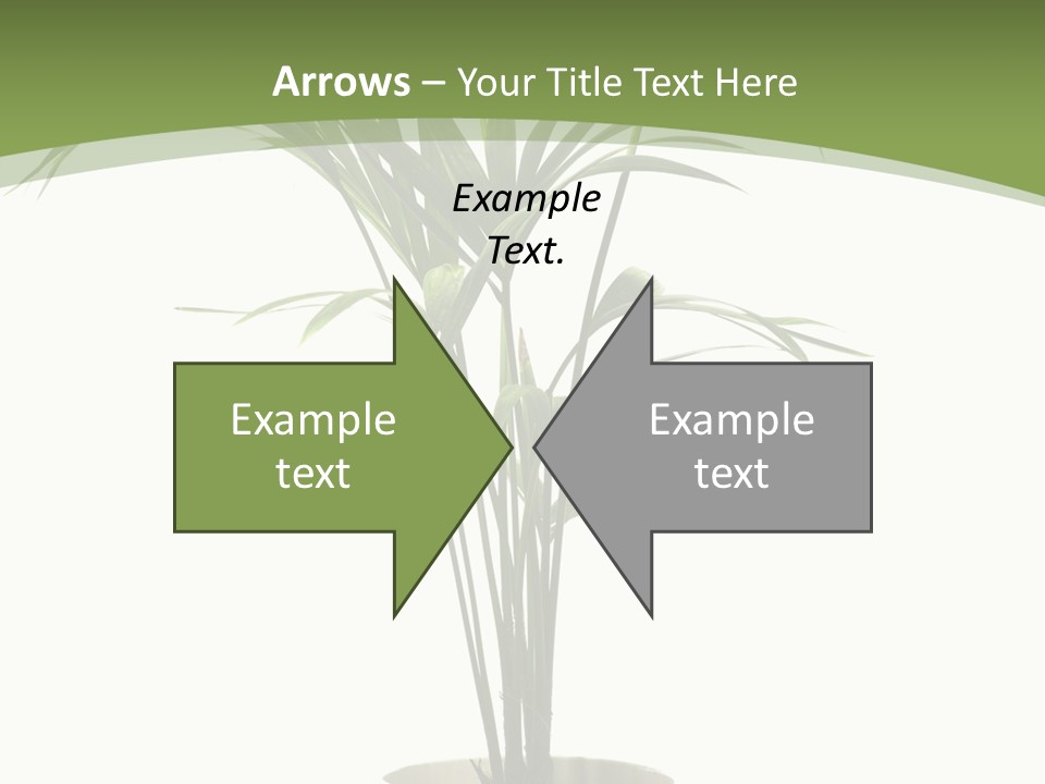 Branch Stem Garden PowerPoint Template