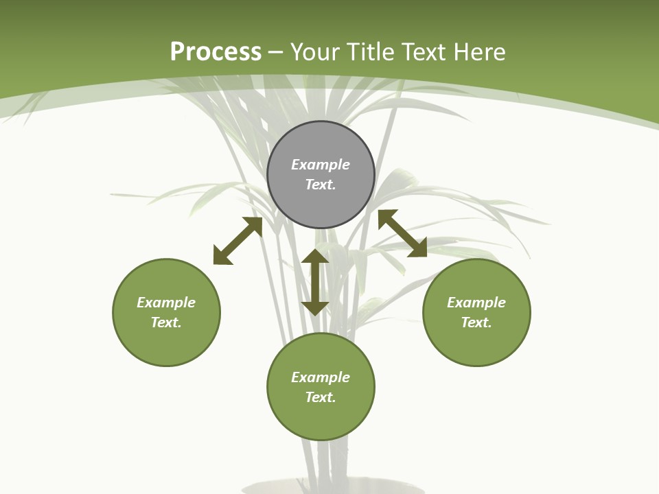 Branch Stem Garden PowerPoint Template