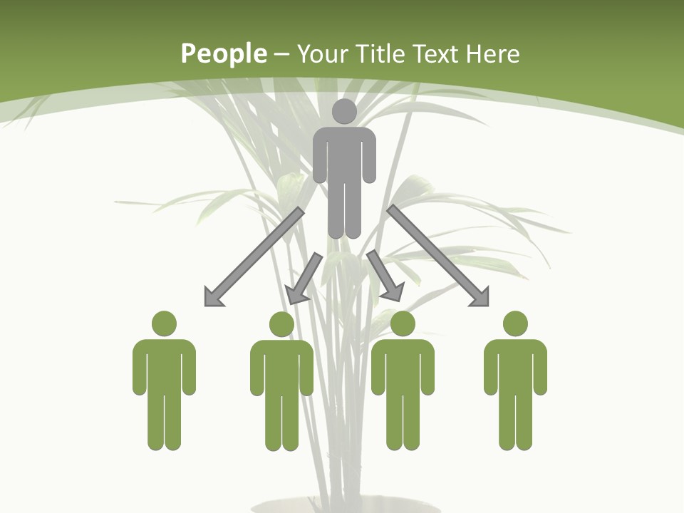 Branch Stem Garden PowerPoint Template