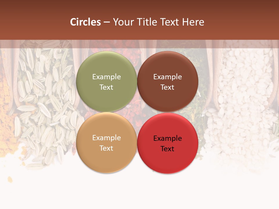 Color Closeup Group PowerPoint Template