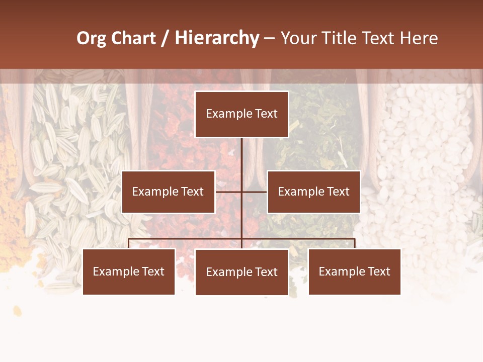 Color Closeup Group PowerPoint Template