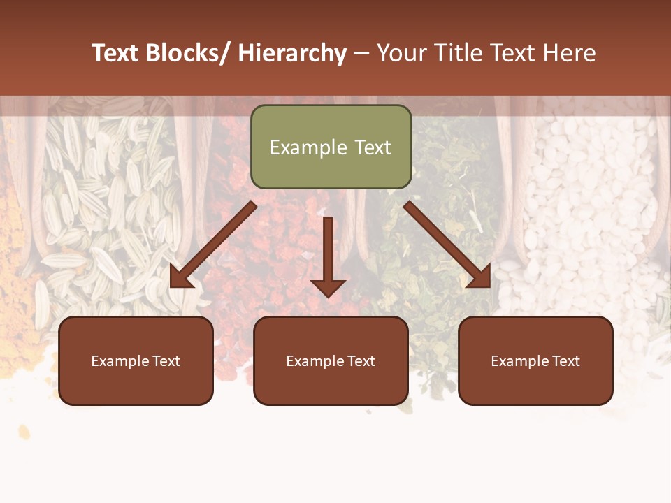 Color Closeup Group PowerPoint Template