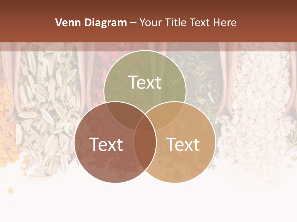 Color Closeup Group PowerPoint Template