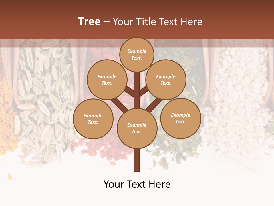 Color Closeup Group PowerPoint Template