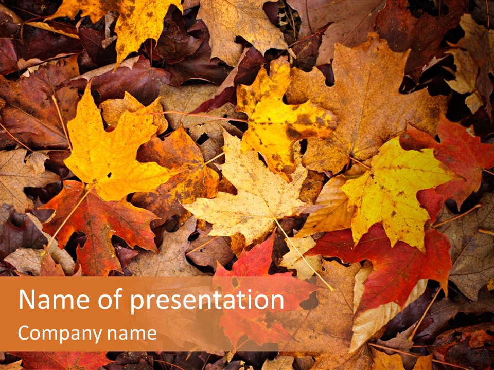 View September Season PowerPoint Template