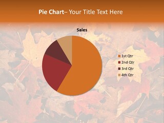 View September Season PowerPoint Template