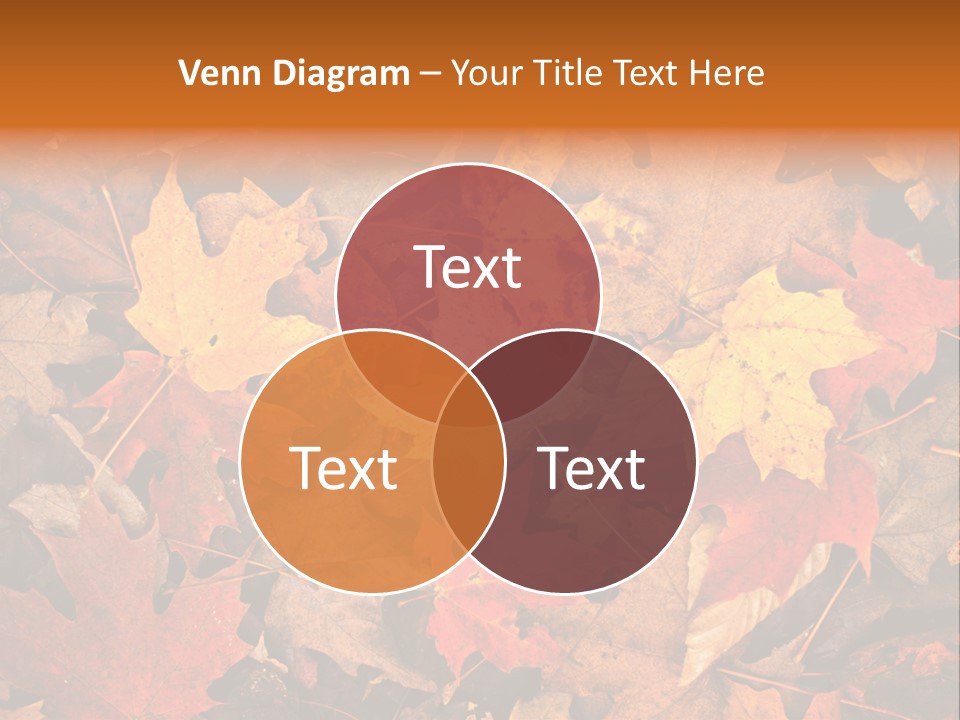 View September Season PowerPoint Template