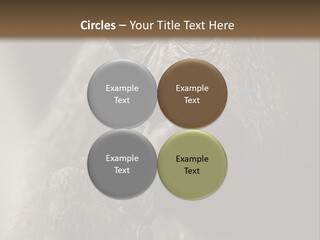 Thinking Pensive Facial Expression PowerPoint Template