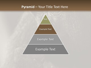 Thinking Pensive Facial Expression PowerPoint Template