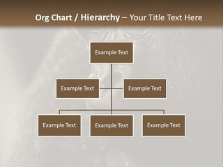 Thinking Pensive Facial Expression PowerPoint Template