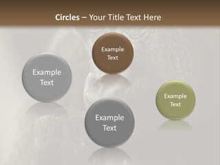 Thinking Pensive Facial Expression PowerPoint Template