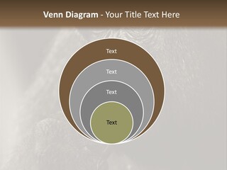 Thinking Pensive Facial Expression PowerPoint Template