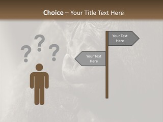 Thinking Pensive Facial Expression PowerPoint Template