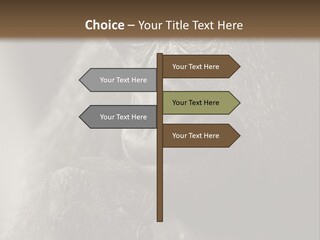 Thinking Pensive Facial Expression PowerPoint Template