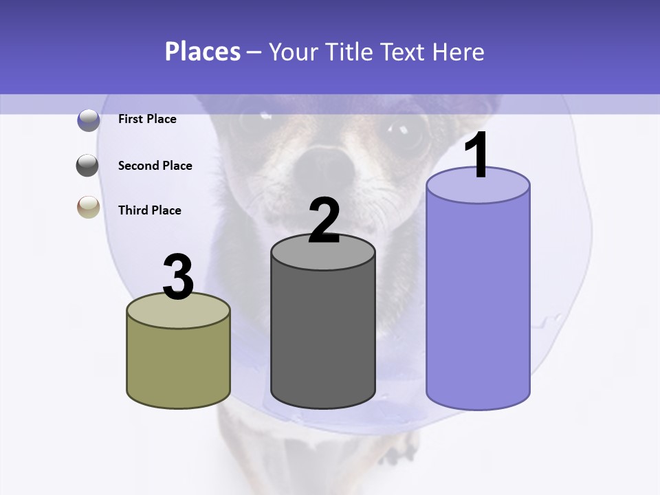Vertical Breed Alertness PowerPoint Template