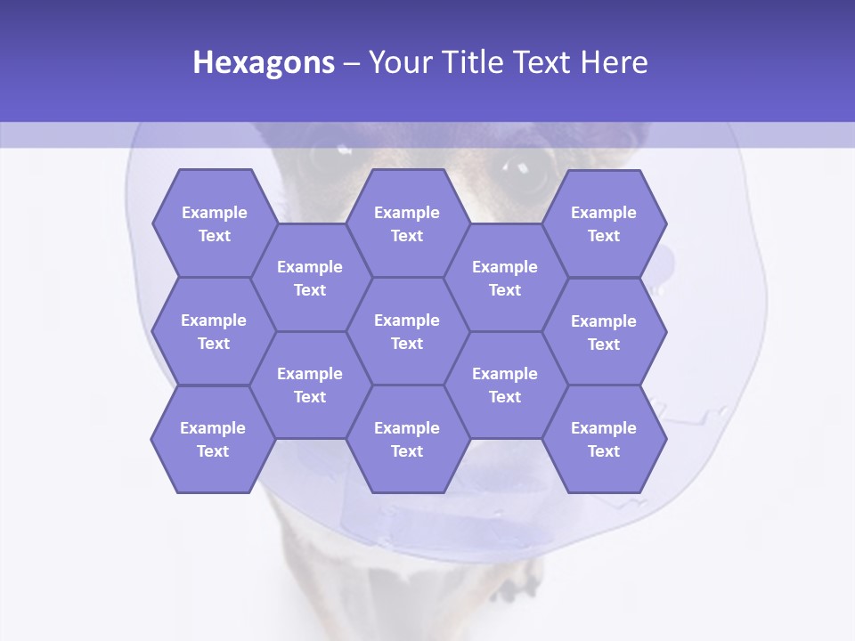 Vertical Breed Alertness PowerPoint Template